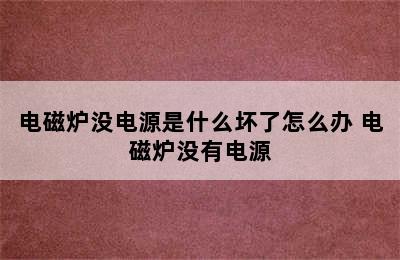 电磁炉没电源是什么坏了怎么办 电磁炉没有电源